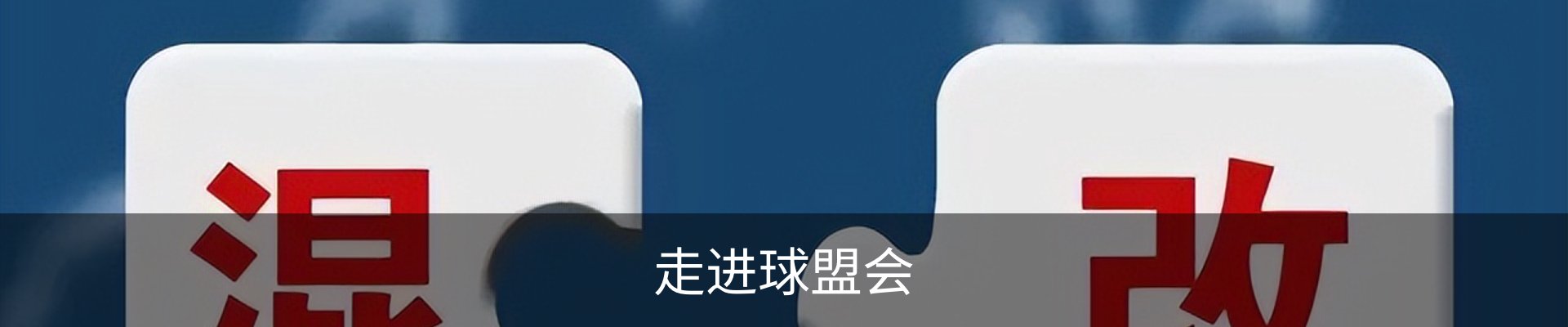 走进球盟会